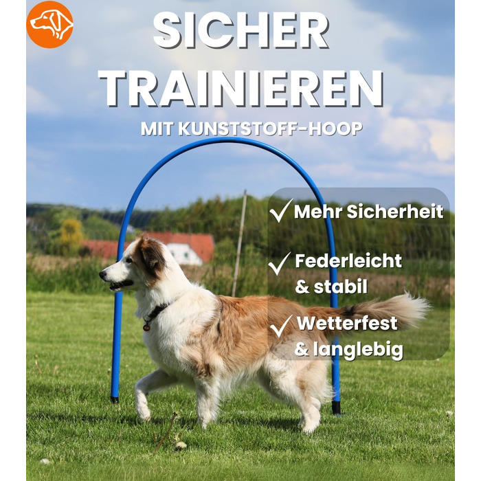SPORTIKEL24 Superhund Hoopers Hoop – іграшка для аджиліті собак, кільця для хоперс, пластик, блакитна основа з кольоровими арками, VDH-сертифікована, гнучка, стійка до погодних умов (блакитний/жовтий)