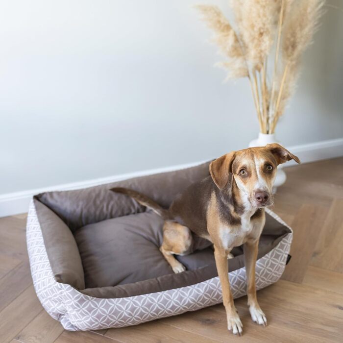 М'яке собаче ліжко Otto 80x60 см, коричневе. Знімна та пральна наволочка. Ліжко-кошик для собак середніх порід.