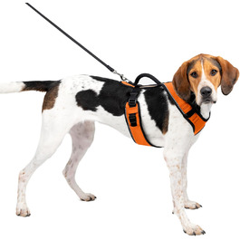 Шлея для собак PetSafe EasySport, регульована, з м'якою підкладкою, контрольна ручка, світловідбивна, помаранчева, розмір L