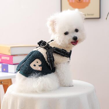 Зимовий теплий одяг для собак | Куртка з флісовою підкладкою для тварин з отвором для шлейки | Для маленьких та середніх собак, підходить для прогулянок, спорту та походів, рожево-білий (зелено-білий)