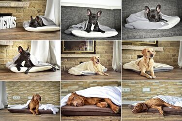 М'яке собаче ліжко з підстілкою кремового та сірого кольорів 110 x 100 см - затишок та спокій для собак завдяки м'якому ліжечку та підстилці для дому та подорожей