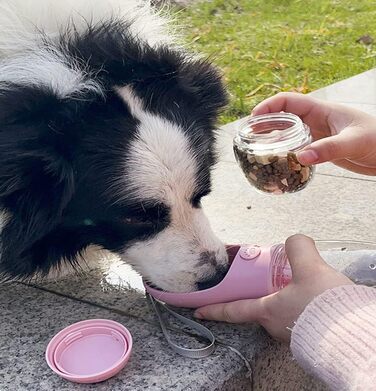 Водяна пляшка для собак на прогулянці, портативна, BPA-free, 550 мл, біла