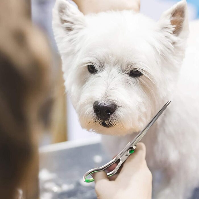 Набір професійних ножиць для грумінгу собак PURPLEBIRD: 440C сталь, 7 дюймів, 4 шт. (прямі, вигнуті, для розрідження)