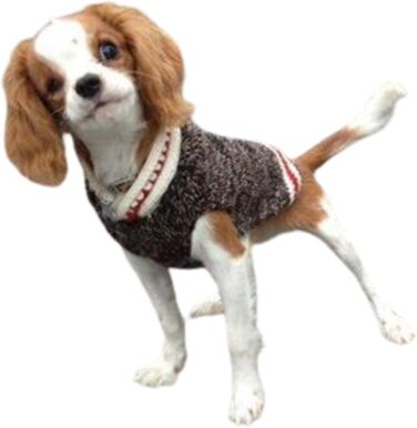 Светр для собак Chilly Dog, коричневий, X-Large
