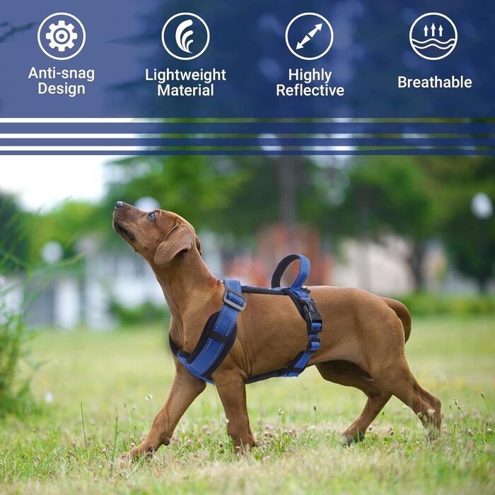 Шлейка для собак середнього розміру, світловідбиваюча, анти-тяга, з м'якою підкладкою та ручкою, для собак та цуценят (S, блакитна)