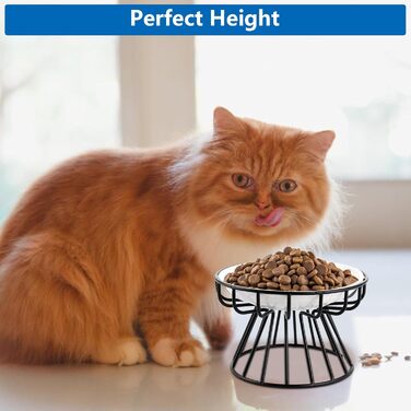 Набір мисок для котів VIDETOL (3 шт.) з підняттям, керамічні миски для корму з металевим підставкою та нековзною підкладкою, підходять для котів та собак