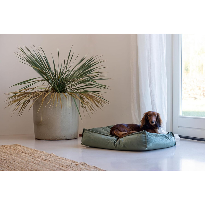 Подушка для собак Lotte Nalino, велюр, сіра, 70x55x15 см