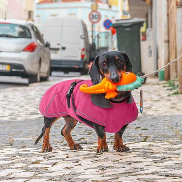 Зимовий теплий дощовик для собак Такса (M), рожевий. Захист від вітру та вологи, з отвором для повідка. Тепла куртка для собак великих порід.