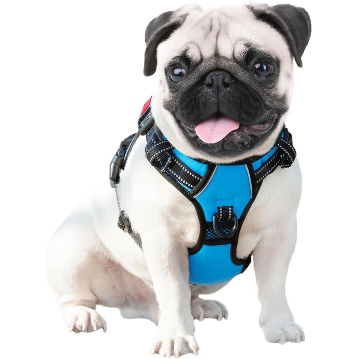 Шлейка для собак PHOEPET, регульована, для прогулянок, з карабіном, світловідбиваючими смугами, ручкою, для середніх та великих собак (L, блакитна)