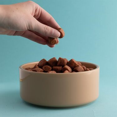 Миска для собак Mason Cash Colour Mix, 20 см, 1 шт.