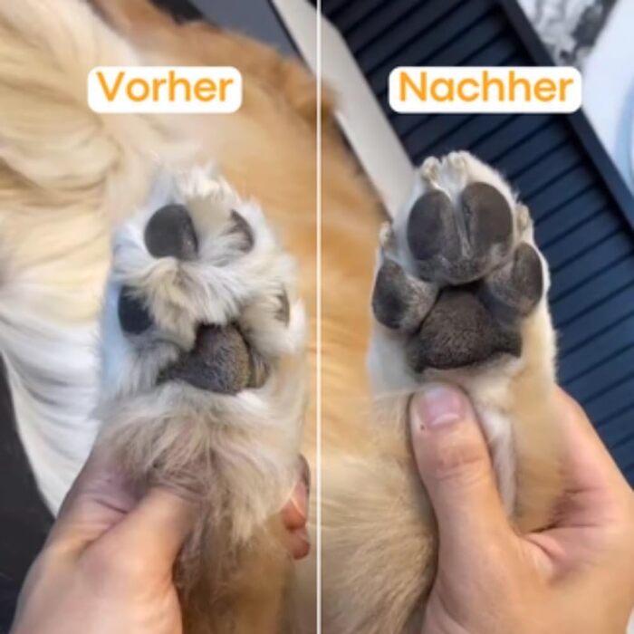 Електричний триммер для лап домашніх тварин - безшумний, водонепроникний, для собак та котів