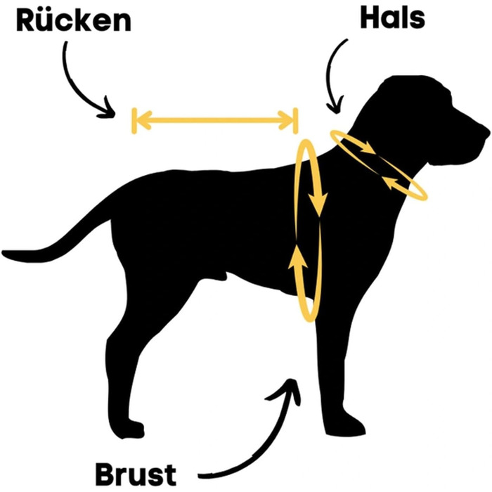 Водонепроникний зимовий одяг для собак Extreme 2.0 - теплий та зручний, з шлейкою та світловідбиваючими смугами (S)
