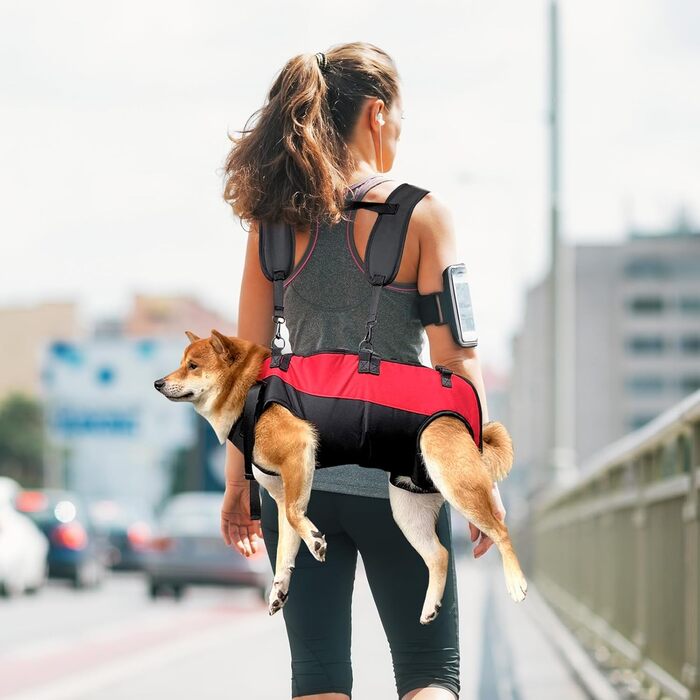 PETCUTE Рюкзак-переноска для собак, жилет-рюкзак для великих собак, повний жилет з ручкою, регульований рюкзак для собак з артритом, старих собак, з проблемами суглобів, чорний+червоний, 7.5-15 кг