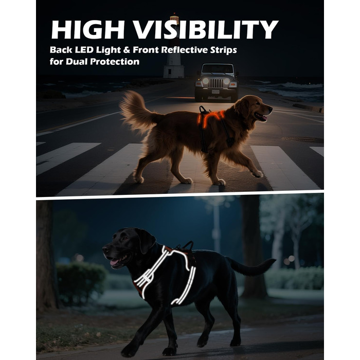 Світловідбиваючий нашийник для собак Joytale з LED, для середніх та великих собак, без натягування, з ручкою, регульований, для нічних прогулянок, зелений/помаранчевий, M/XL