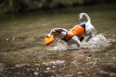 Одяг для собак Julius-K9 IDC Neopren Baby, оранжевий та чорний