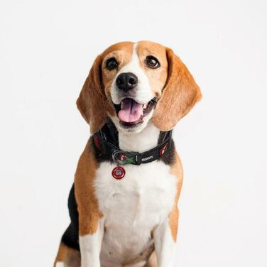 Нашийник для собак Cerdá Life's Little Moments Marvel – офіційний ліцензований товар, регульований, середній/великий, комфортний, міцний