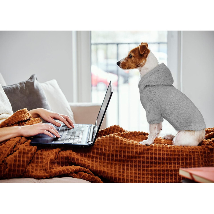 Світшот для собак, теплий та м'який, з капюшоном. Світшоти для маленьких собак (Сірий, розмір S)