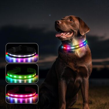 Світлодіодна нашийник для собак Feycig з USB зарядкою - водонепроникний, регульований, 3 режими, для малих, середніх та великих собак (Чорний, L(48-60см))