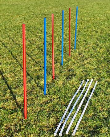 Набір для фристайлу Wuzzmann Agility: 4 боулінгові/тренувальні арки + 6 шлагбаумів (червоний/синій)