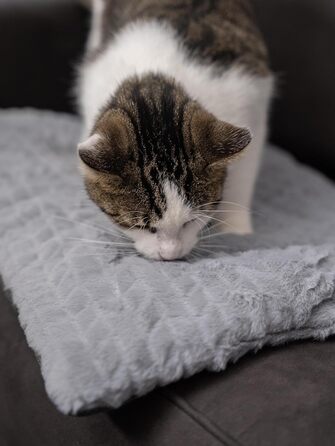 TrendPet Heaven двостороння утеплена ковдра для собак і котів, сіра, 110x70 см