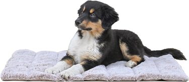 Килимок для собак середнього розміру, прямокутний, бежевий – захищає суглоби, двосторонній, літо/зима, легко транспортується, не деформується, можна прати в машині, L (65 x 80 см)