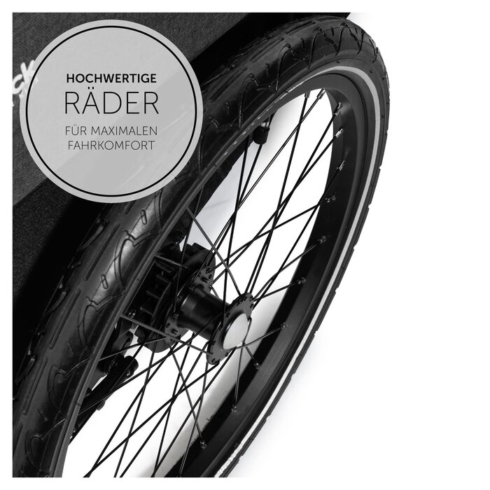 Дитячий велопричіп-візок 2в1 Hauck Dryk Duo для 2 дітей (від 6 місяців, до 120 см або 22 кг), сірий Melange