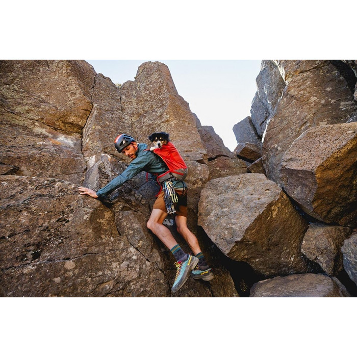 Рюкзак-переноска для собак Ruffwear Hitch Hiker, сірий Базальт, XS