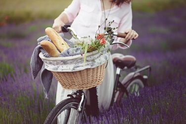 Фарбований плетенний кошик для велосипеда e-wicker24 1126-42, 42x36x24 см, медовий колір