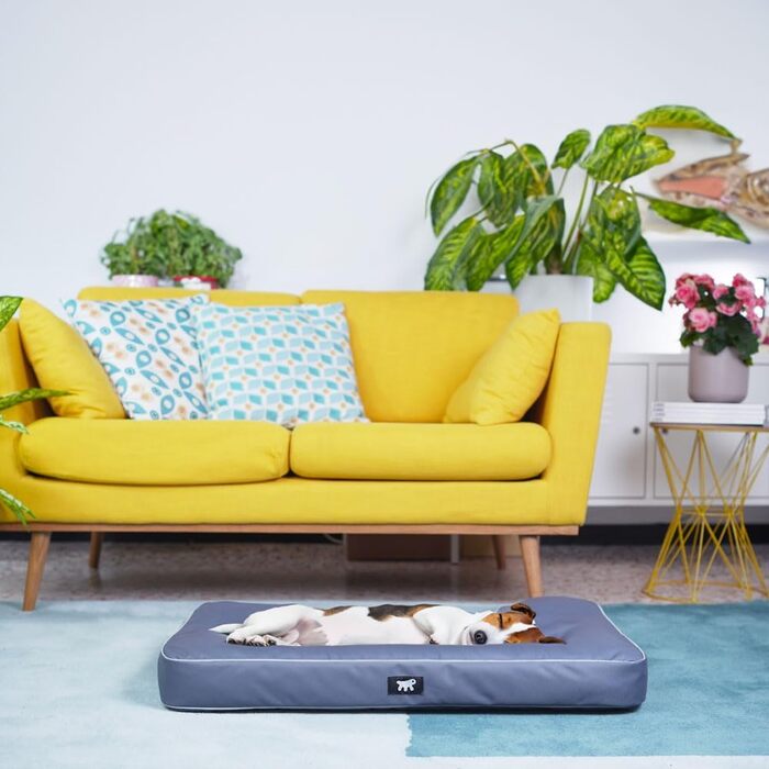 Ортопедичний лежак для собак та котів FERPLAST Polo - 80x50x8 см, сірий. Лежак для собак, лежак для котів, миється, стійкий до подряпин, знімний наповнювач.