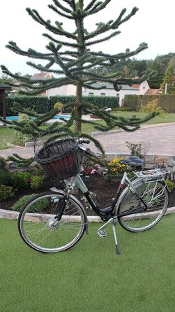 Корзина для велосипеда Marcus Hundefahrradkorb для руля з ротангу з металевою сіткою та подушкою, чорна, для собак, велосипедна корзина, корзина для тварин, натуральна (без подушки)