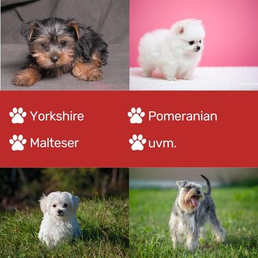 Ножиці моделювальні EHASO, 17 см, нержавіюча сталь, зубчасті (46 зубців)