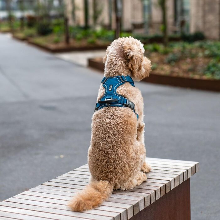 Шлея для собак DOG Copenhagen Comfort Walk Pro, мисливський зелений, розмір L