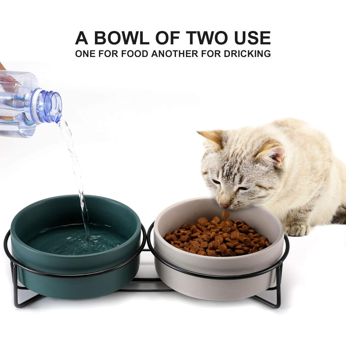 Набір мисок для котів PETTOM з підставкою (2 шт.), кераміка, захист шиї, зелений + сірий