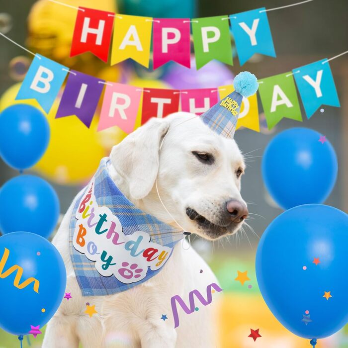 Сукня для собак SCENEREAL на весілля з банданою, краваткою та короною, комплект для собак, дівчаток, цуценят, кошенят, вечірній аксесуар, спідниця-тьюль, костюм для маленьких, середніх та великих собак, білий (весільний) (хлопчики - світло-блакитний в клі