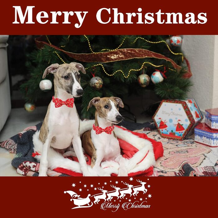 Нашийник для собак Unique Style з знімною метеликом, для малих, середніх та великих собак, регульований XXS-XL (S (1 шт), Олень на Різдво)