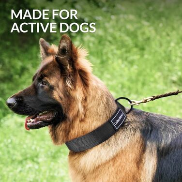 Міцний нашийник для собак великих та середніх порід – регульований, двошаровий нейлон, металева застібка, стійкий до розривів, ідеальний для активних собак (Чорний, Великий (38-58 см))