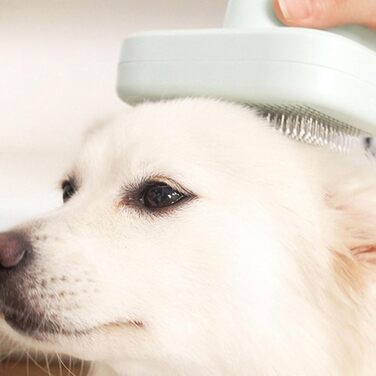 Професійна щітка для тварин Pet Ion Brush з подвійним іонним генератором: самоочисна щітка для собак та котів, м'яке розплутування шерсті та підшерстка, для короткої та довгої шерсті (зелена)