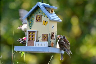 Будиночок для птахів Dobar® 25119FSC Summer - яскравий дерев'яний годівничок для птахів, 18x18x23 см