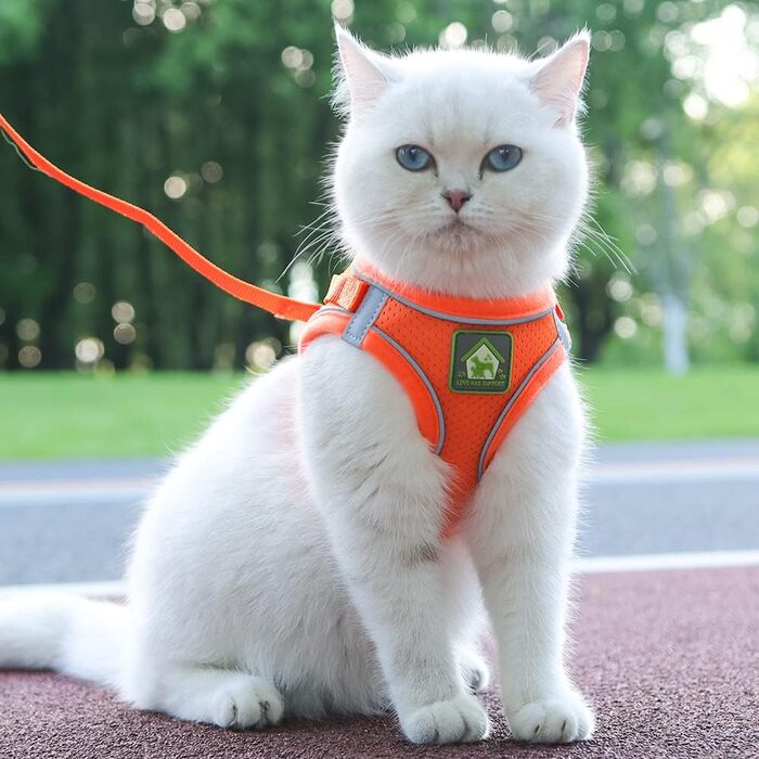 Шлейка для собак та котів FeimaX з повідком для маленьких та середніх порід, м'яка сітка, дихаюча, регульована, світловідбиваюча, не тягне, жилет для чихуахуа, кота (XXS, 20-25 см, помаранчевий)