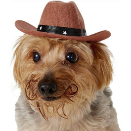 Капелюх ковбойський для собак та котів POPETPOP – веселі святкові капелюхи для домашніх тварин, аксесуари для костюмів на Хелловін та Різдво (колір кавовий)