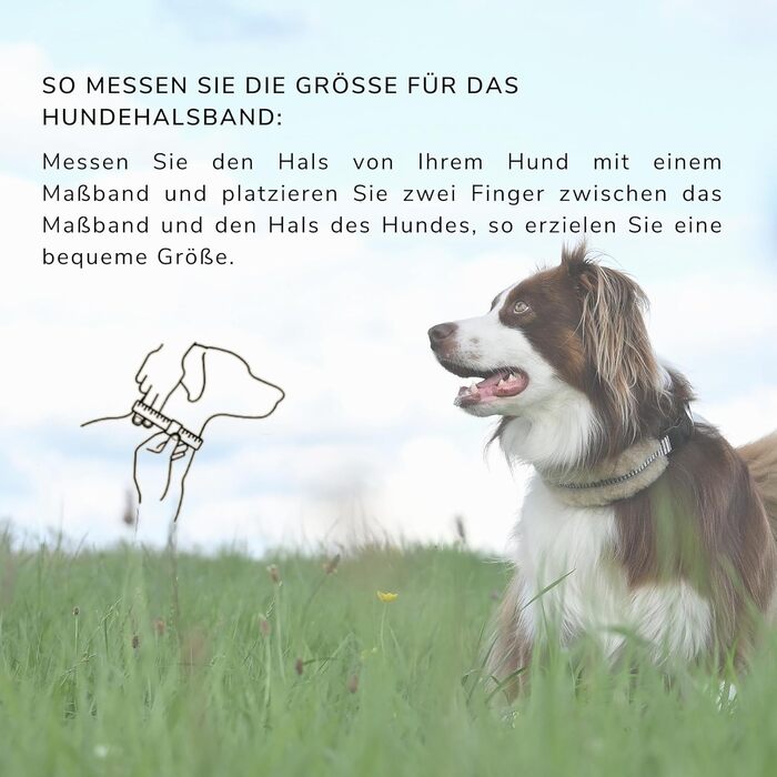 Інноваційний нашийник для собак CHRIS з ланолінової вовни, зменшує випадіння шерсті, з підкладкою, світловідбиваючий, регульований, для собак малих, середніх та великих порід, розміри M (35-45см), L (45-55см), XL (55-65см), колір антрацит