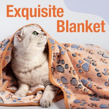 М'яка ковдра для домашніх тварин - ковдра для собак, котів, цуценят. М'яка, тепла ковдра для маленьких собак та котів (з принтом лапки)