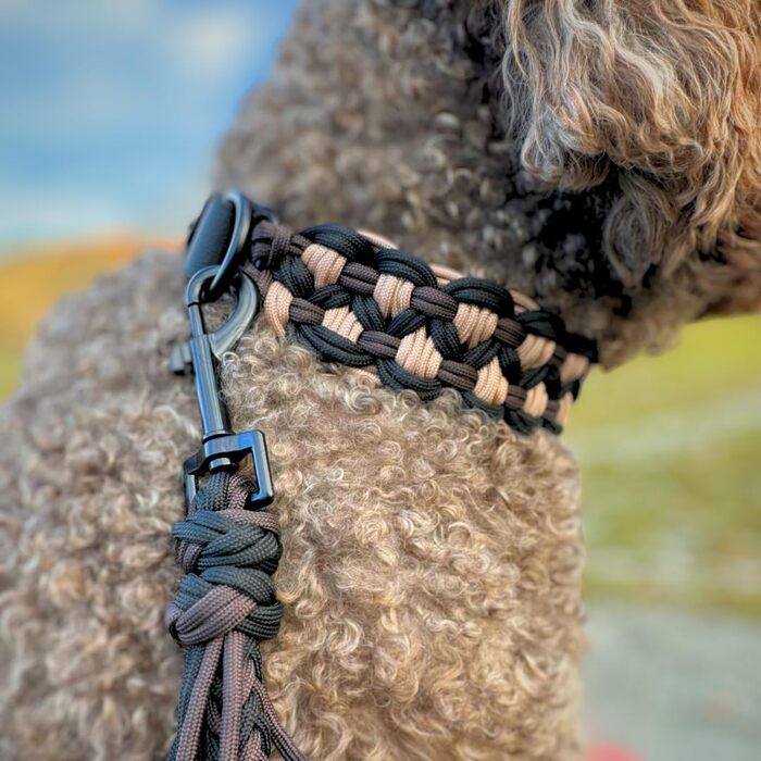 Нашийник для собак Ben&Bruno: міцний, ручної роботи, з паракорду, для собак малого, середнього та великого розміру, білий, розмір L