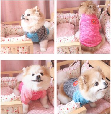 Теплий собачий светр HAPEE для малих та середніх собак з емблемою, для цуценят, котів та собак взимку