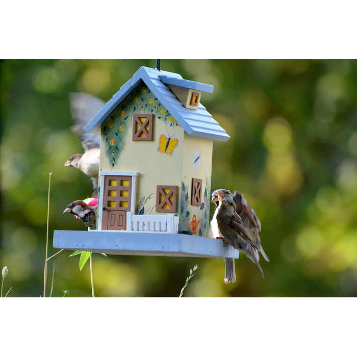 Будиночок для птахів Dobar® 25119FSC Summer - яскравий дерев'яний годівничок для птахів, 18x18x23 см