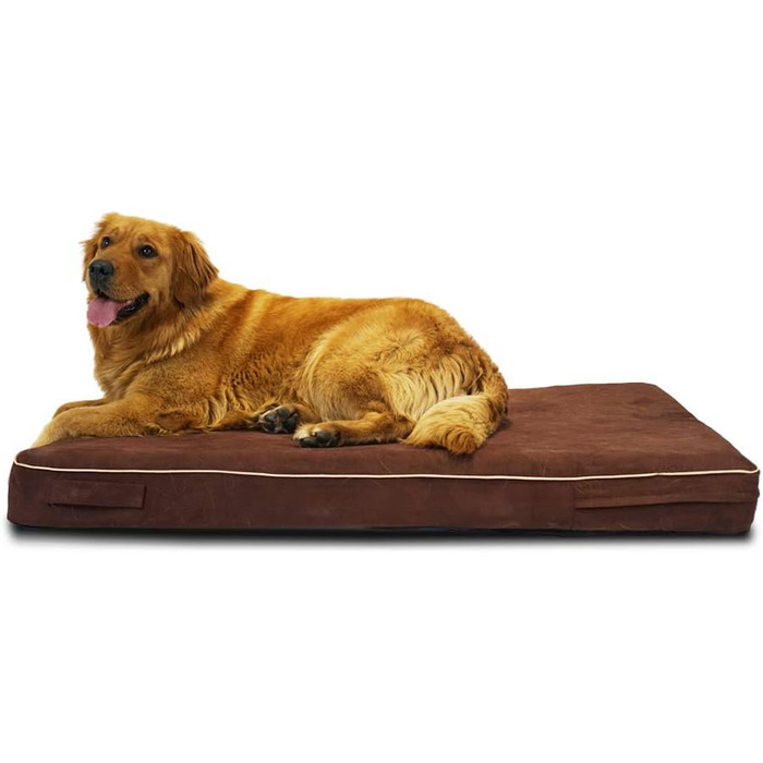 Ортопедичне ліжко для собак Laifug з Memory Foam, велике, з подушкою, водонепроникне, знімний чохол, розмір L (117x71x10 см)