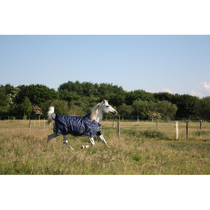 Кінська зимова попона time4horses 1200D з високою горловиною, 300 г, водонепроникна, для стайні та пасовища, 145 см