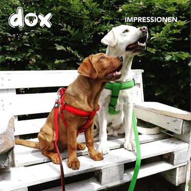 DDOXX нейлоновий шлейка для собак, регульований, зелений, розмір XXS, для цуценят і дорослих