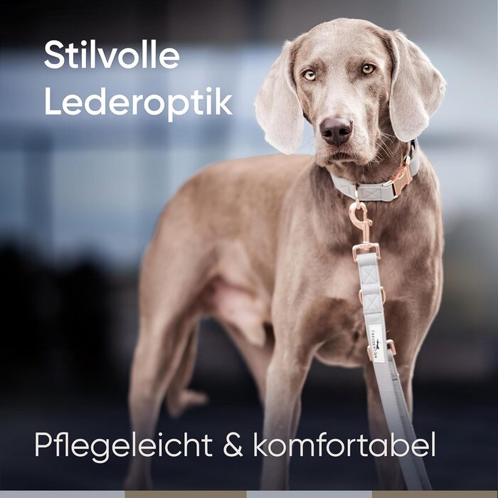 Нашийник для собак Freudentier з веганської шкіри, подарунковий мішечок, м'який, регульований та міцний, для середніх та великих собак, обхват шиї 34-49 см, ширина 2 см