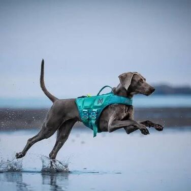 Жилет рятувальний для собак Protector, колір teal, розмір 2